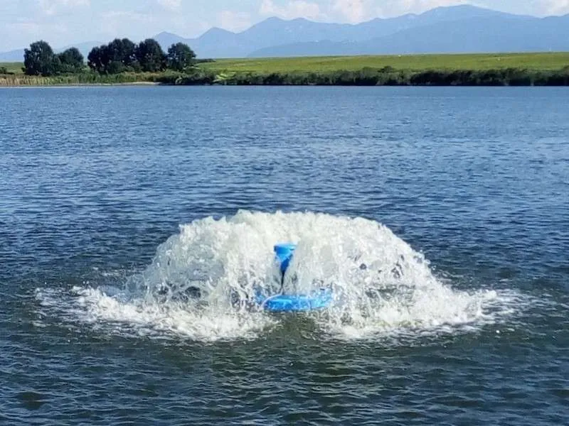 Aeratori Aqua-Pilz con motore esterno - immagine 3