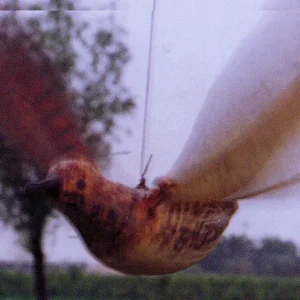 VENTURINI FLYING LARK MOD. LUXE AD IMITAZIONE DELL'ALLODOLA CHE VOLA