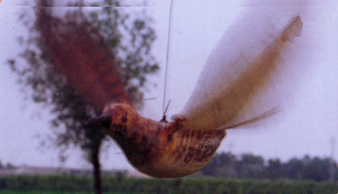 VENTURINI FLYING LARK MOD. LUXE AD IMITAZIONE DELL’ALLODOLA CHE VOLA