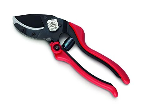 AUSONIA FORBICE POTATURA PROFESSIONALE EVO 6