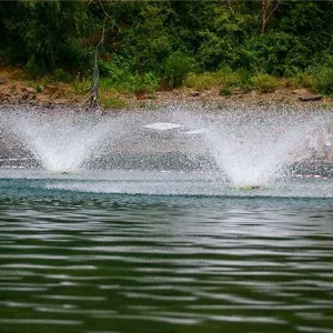 Aeratori Aqua-Pilz versione fontana ornamentale