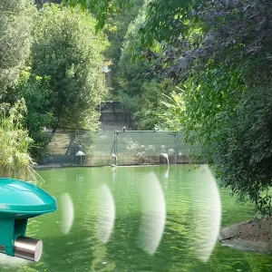 Apparecchi antialghe Smart Ultrasonic