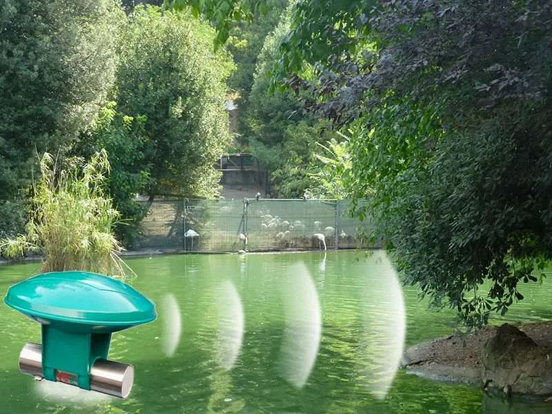 Apparecchi antialghe Smart Ultrasonic