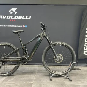 Bergamont E-Revox FS 150 Expert