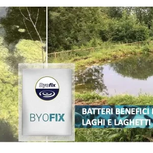 ByoFix – Batteri benefici per laghi e stagni
