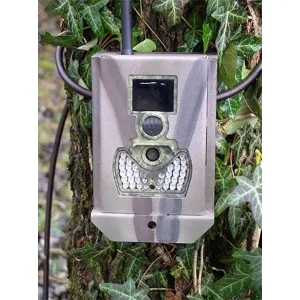 Cassette di sicurezza per fototrappola