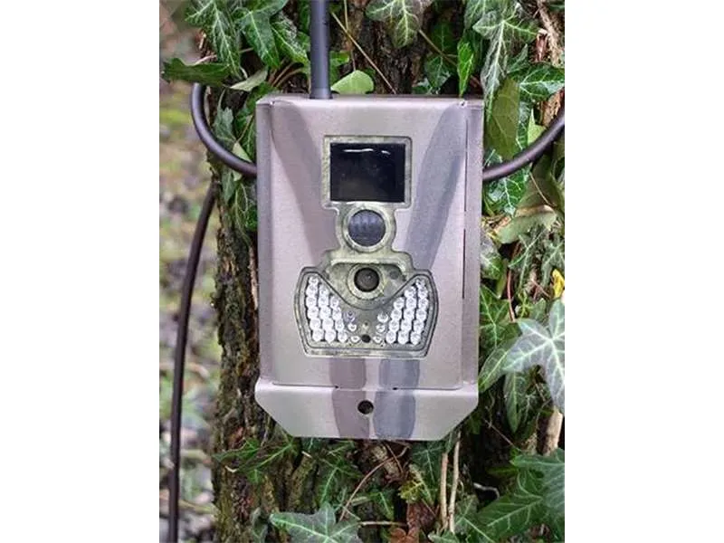 Cassette di sicurezza per fototrappola