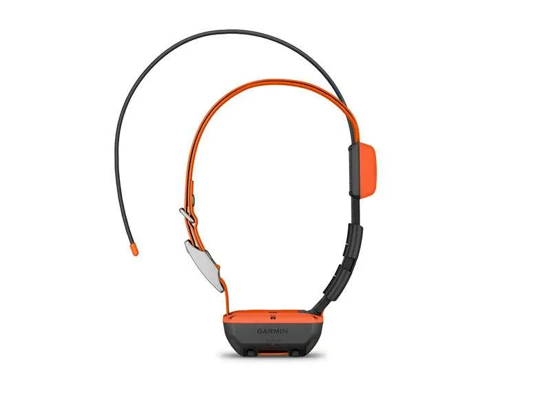 Collare per cani Garmin Alpha T 20 K