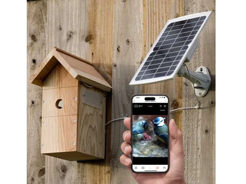 Nido con telecamera senza fili completo di pannello solare - immagine 3