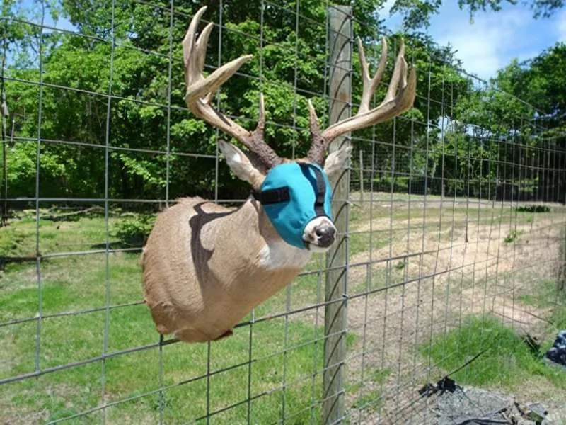 Maschere per Cervi Set 3 Taglie (S-M-L)