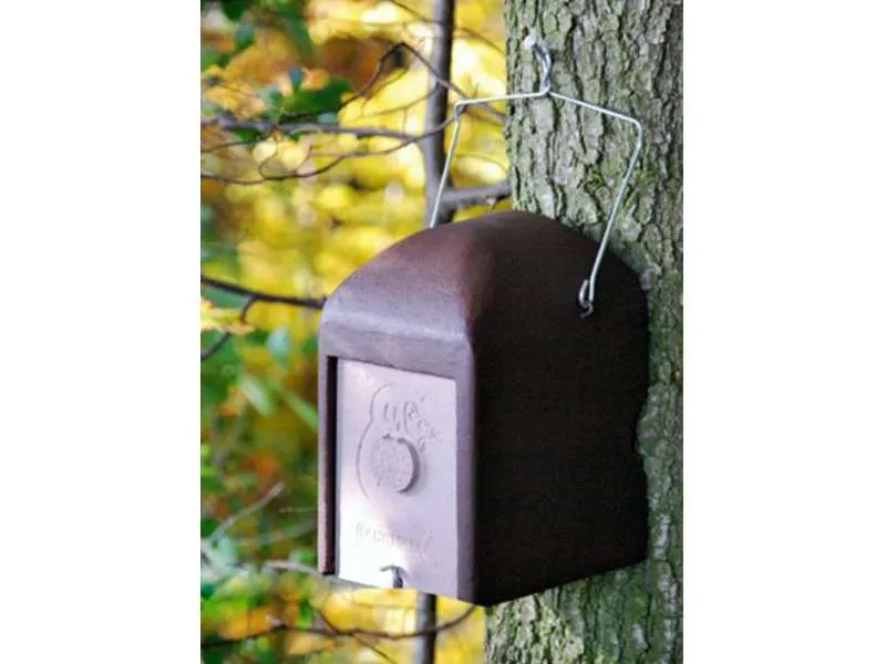 Nido per Moscardini 2KS