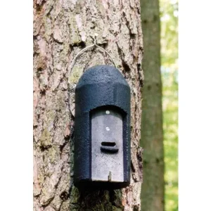 Nido per pipistrelli 1FD con tripla parete anteriore