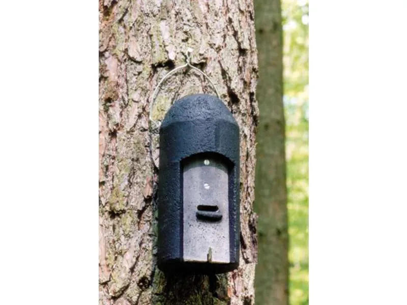 Nido per pipistrelli 1FD con tripla parete anteriore