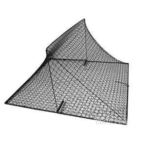 Prodina di grandi dimensioni per rapaci