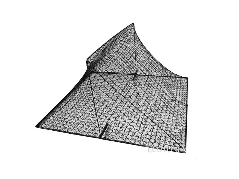 Prodina di grandi dimensioni per rapaci