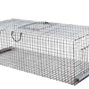 Trappola per piccioni