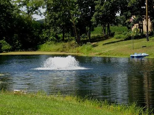 Aeratori Aqua-Pilz con motore esterno - immagine 7