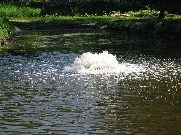 Aeratori Aqua-Pilz con motore esterno - immagine 6