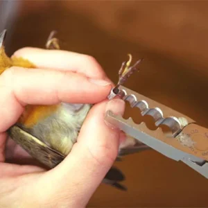 Pinze per inanellamento a 5 misure