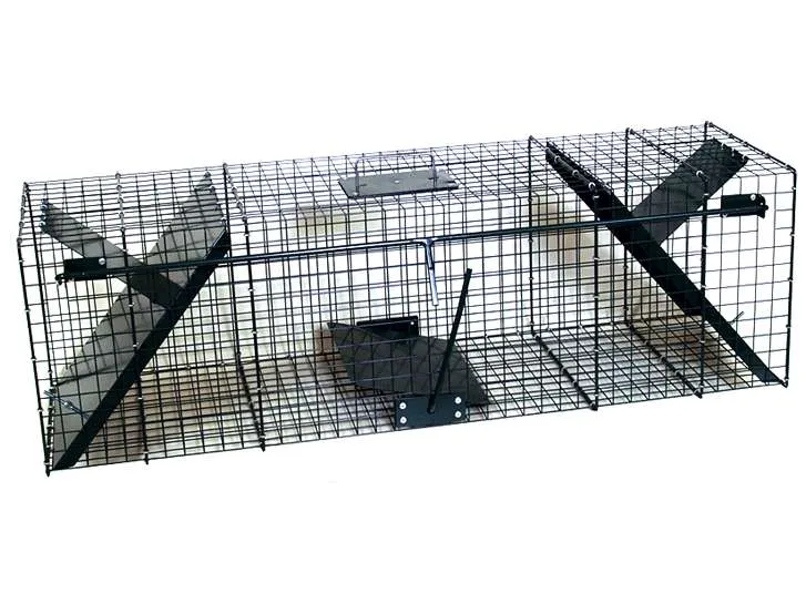 Trappola a doppio ingresso con chiusura inclinata