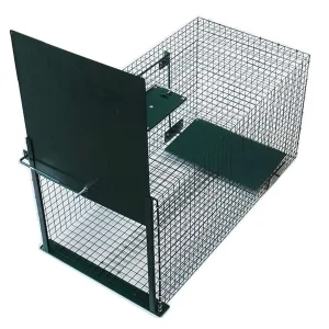 Trappole per la cattura di gatti randagi