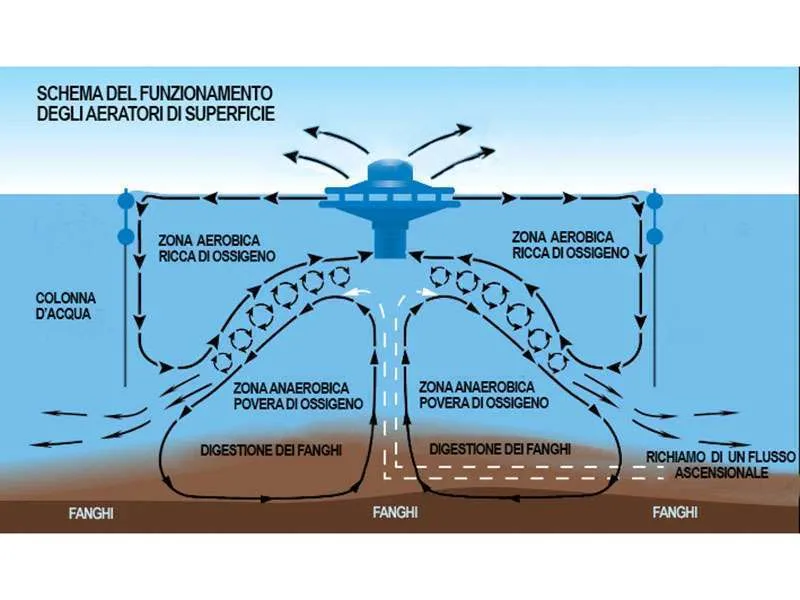 Aeratori Aqua-Pilz con motore esterno - immagine 8