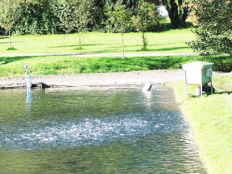 Alimentatori a lancio automatici Profi Sprayer - immagine 7