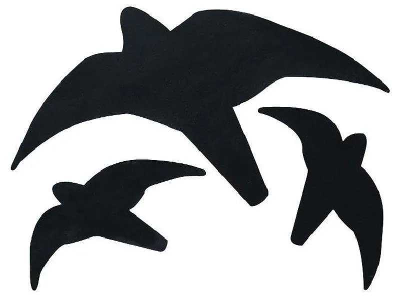 Silhouettes rapaci anti collisioni per vetrate, colore nero -conf. 3 pz