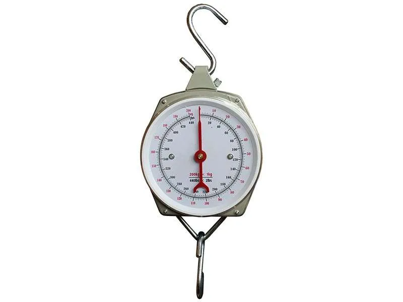 Bilancia analogica portata 200 kg