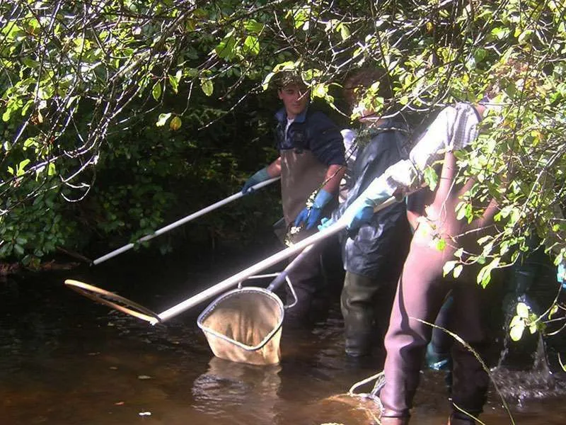 Manici in vetroresina per guadini inox e alluminio - immagine 4