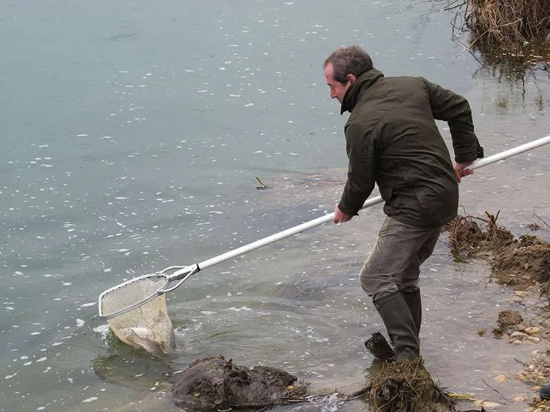 Manici in vetroresina per guadini inox e alluminio - immagine 5
