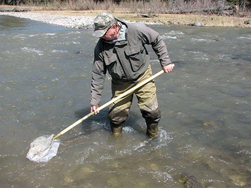 Guadini inox pentagonali professionali Scubla - immagine 6