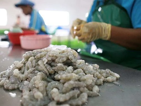 Guanti para-zigrinati - immagine 4