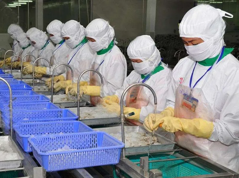 Guanti para-zigrinati - immagine 5