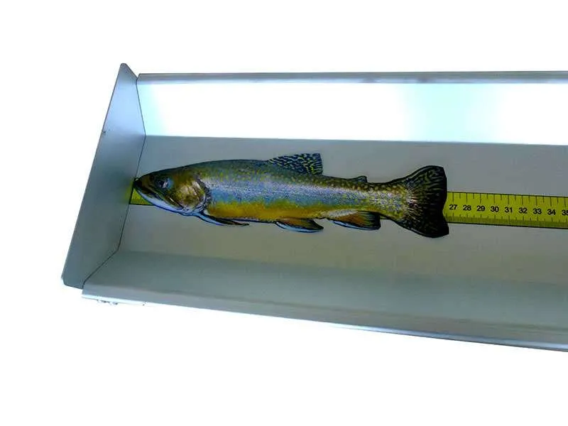 Ittiometro misurapesci sagomato in alluminio