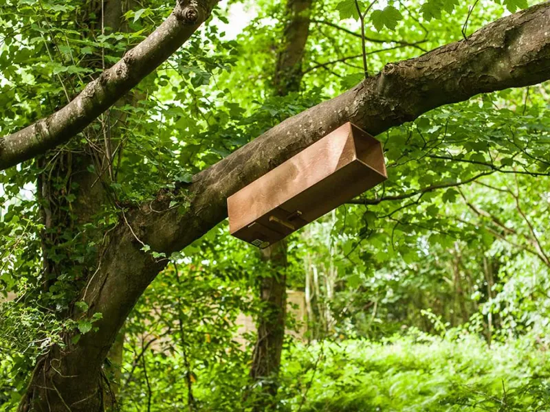 Casetta nido per allocco - immagine 3