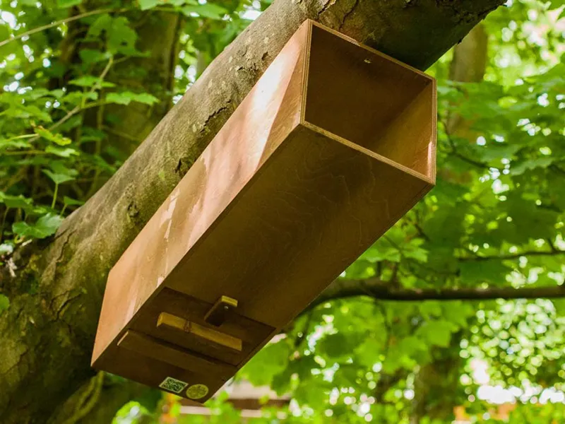 Casetta nido per allocco - immagine 4