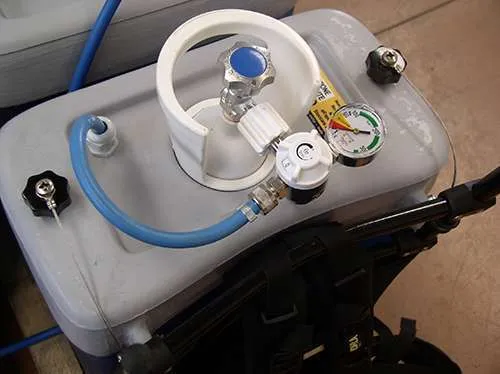 Ittiozaino - immagine 3