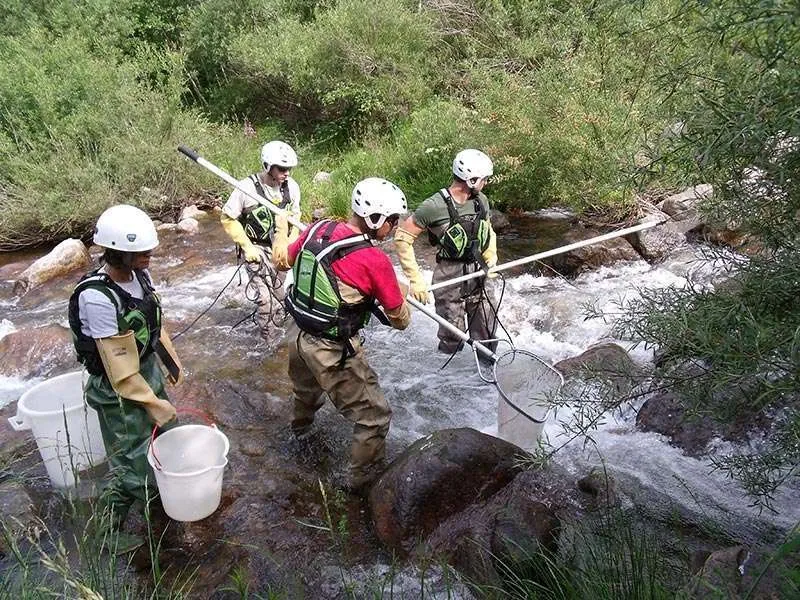 Guanti para-zigrinati - immagine 3