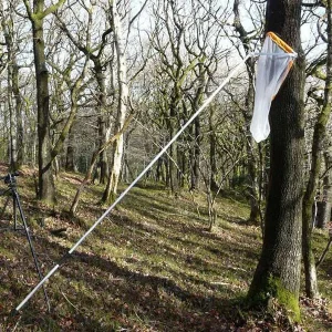 Retino per pipistrelli Bat Net