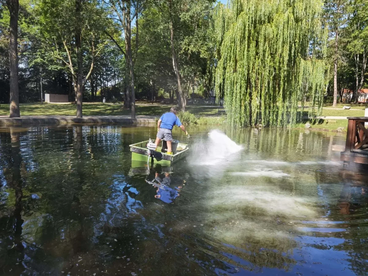 SchlixX Plus – antifango con batteri benefici - immagine 4