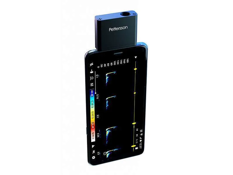 Rilevatore di pipistrelli Pettersson u256 e u384