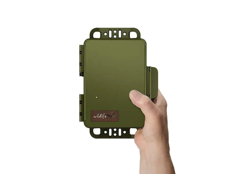 Registratore ad ultrasuoni SM4 Bat FS per pipistrelli