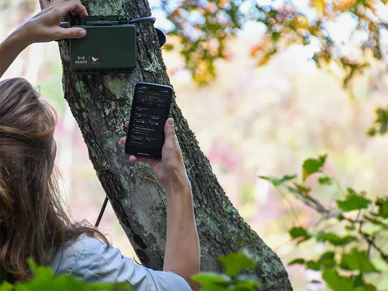 Registratore acustico Song Meter Mini 2 Li-Ion - immagine 4