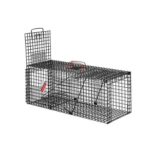 Trappola Cattura Gatti Silenziosa Ideale per Gatti e Gattini